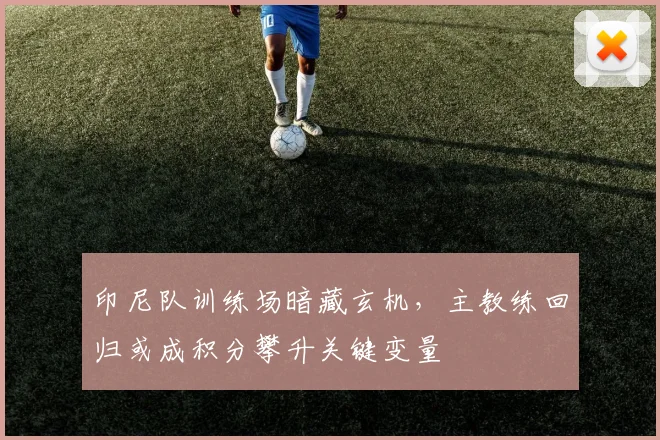 印尼队训练场暗藏玄机，主教练回归或成积分攀升关键变量