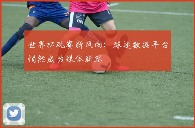 世界杯观赛新风向：球迷数据平台悄然成为媒体新宠