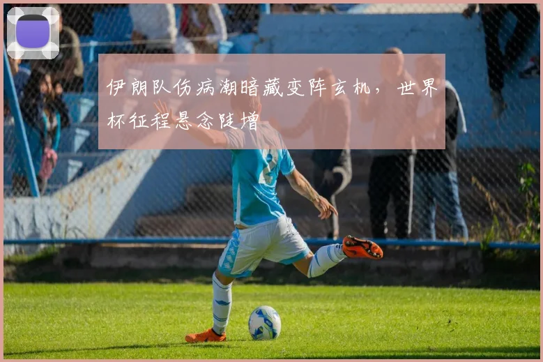 伊朗队伤病潮暗藏变阵玄机，世界杯征程悬念陡增